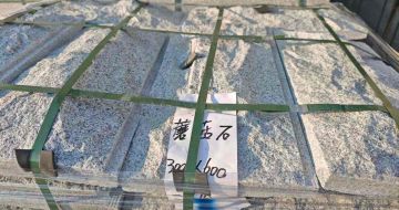 日照芝麻白蘑菇石，自然面