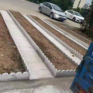 日照芝麻白花边石