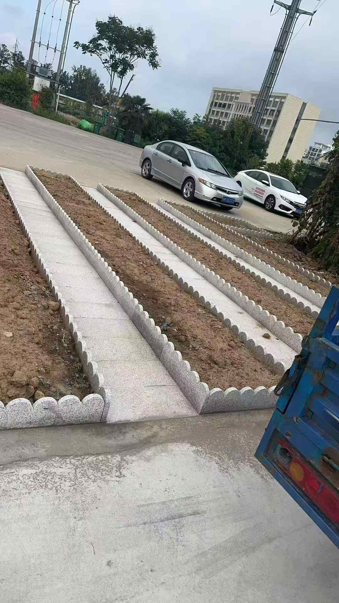 日照芝麻白花边石